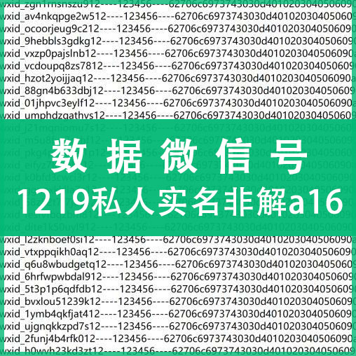 1219私人实名非解62/a16数据微信，上控专用，纯手工注册，质量可靠！（注：什么是62数据号，自行百度，懂货的拍，不懂不卖，小白慎拍！）