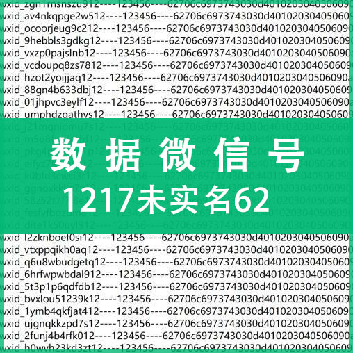 1217未实名62数据微信号，上控专用，纯手工注册，质量可靠！（注：什么是62数据号，自行百度，懂货的拍，不懂不卖，小白慎拍！）